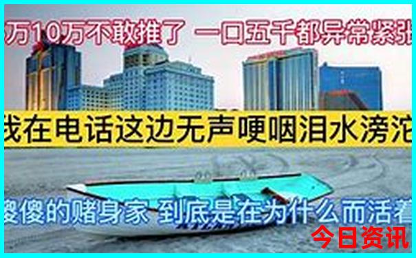 成都熊猫基地必去景点